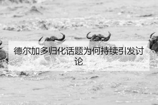 de-er-jia-duo-gui-hua-hua-ti-wei-he-chi-xu-yin-fa-tao-lun-2-969.jpg